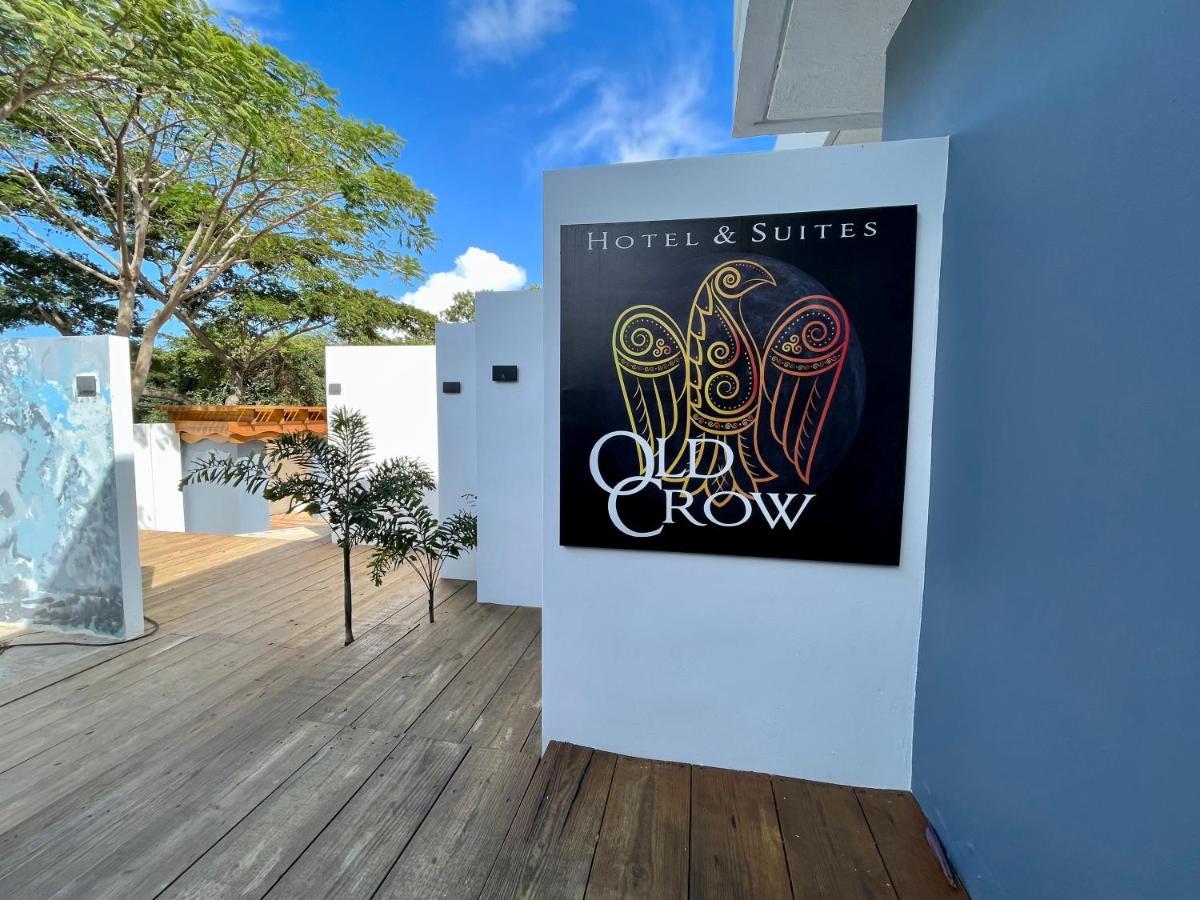 Old Crow Hotel And Suites Vieques Ngoại thất bức ảnh